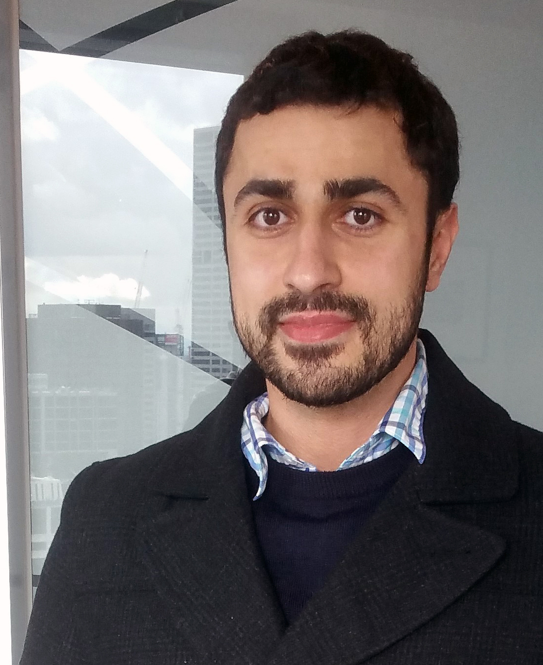 Adel Shahin