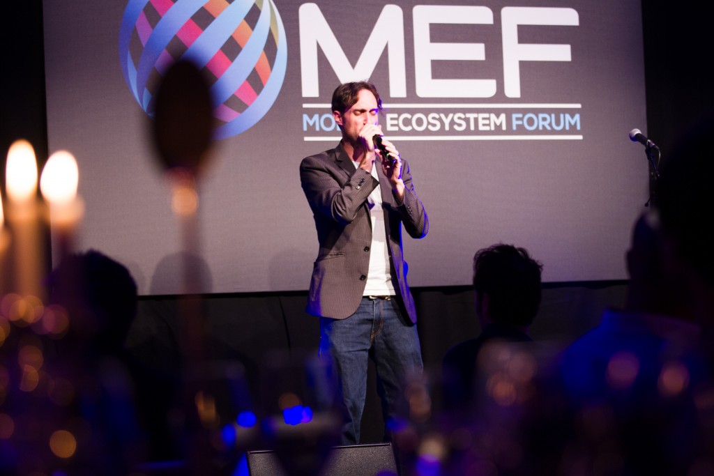 MEFFYS_2015-4051