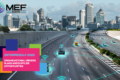 Enterprise IoT 2022: Organisational Drivers, Plans and Supplier Opportunities